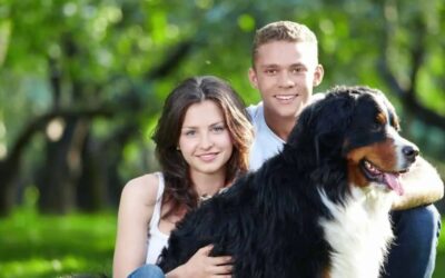 Measuring Impact: Metrics for Assessing News Story Post-Press Strategies